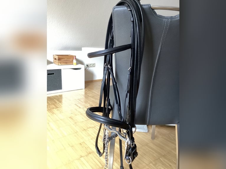 Kandarenzaum, WB, mit Gebissen Kieffer,Sprenger