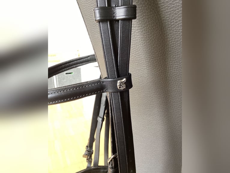 Kandarenzaum, WB, mit Gebissen Kieffer,Sprenger