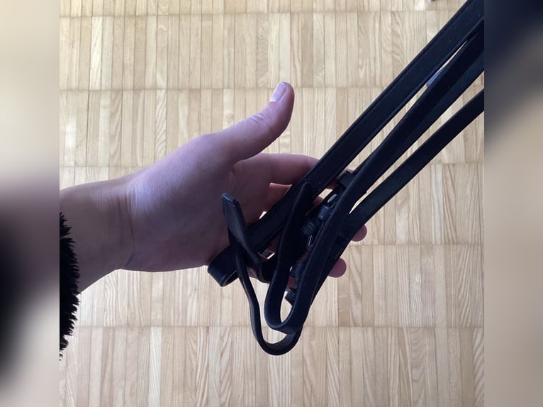 Kandarenzaum, WB, mit Gebissen Kieffer,Sprenger