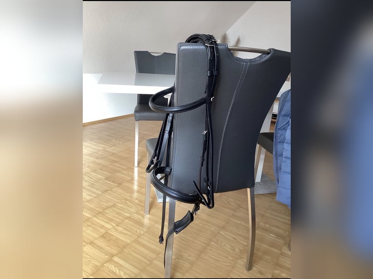 Kandarenzaum, WB, mit Gebissen Kieffer,Sprenger