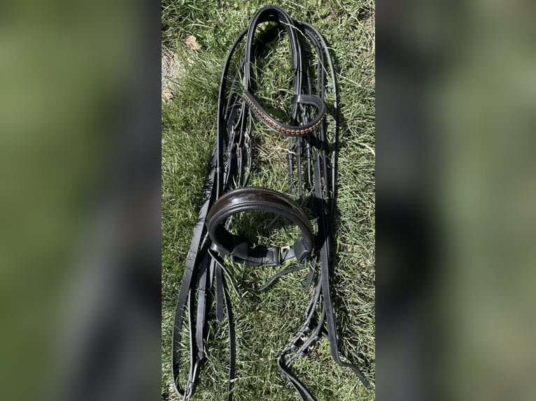 Kandarenzaum Weich WB Schwarz/Braun inkl. Zügel Kaum benützt!