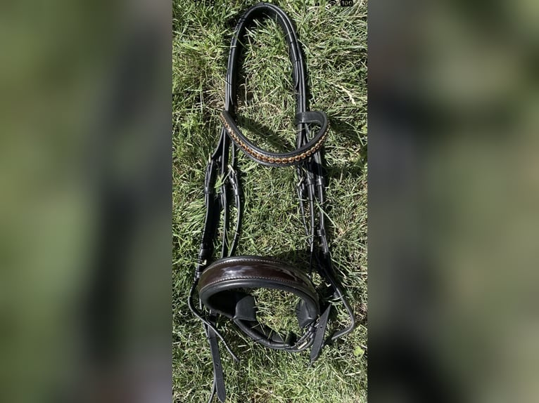 Kandarenzaum Weich WB Schwarz/Braun inkl. Zügel Kaum benützt!