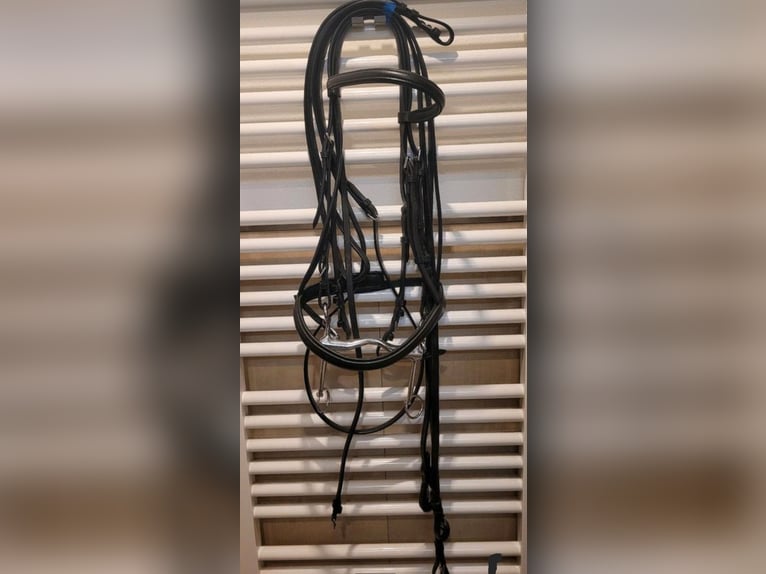 Kandarenzaum zu verkaufen 