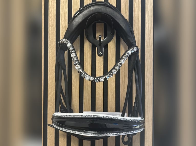 Magic Horse Design Kandare Gr. WB
