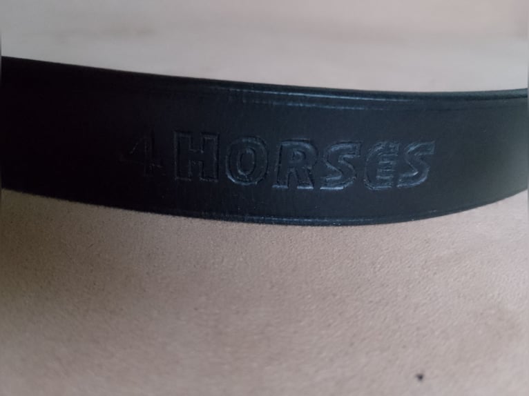 Kopfstücke mit Backenstücken schwarz  COB/Vb neu!