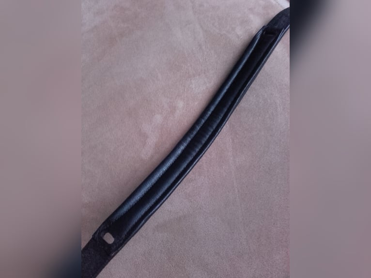 Kopfstücke mit Backenstücken schwarz  COB/Vb neu!