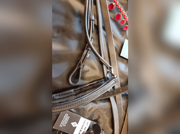 NEU: Exklusives Weihnachtsgeschenk! Equitec SET Luxuszaumzeug mit vielen Stirnriemen +Stübben Zügel