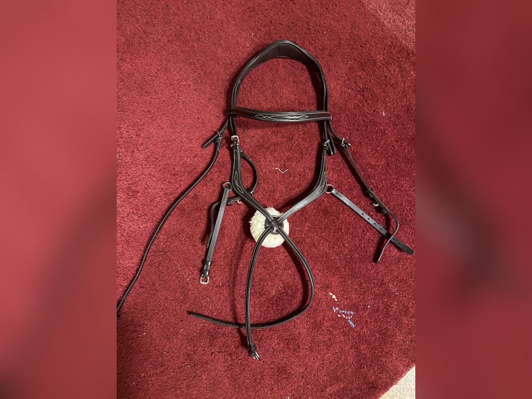 Mexikanische Trense von Horze WB