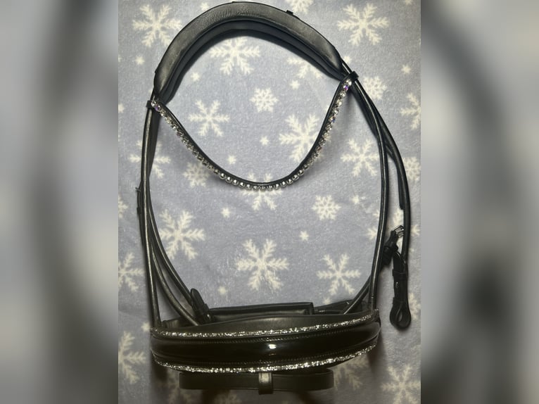 Neuwertige SD-Design Trense mit Ivy Horse Fashion Stirnriemen