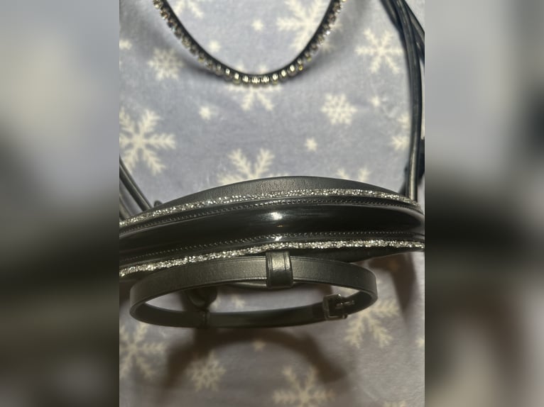 Neuwertige SD-Design Trense mit Ivy Horse Fashion Stirnriemen