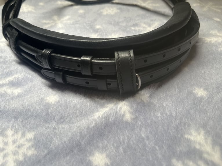 Neuwertige SD-Design Trense mit Ivy Horse Fashion Stirnriemen