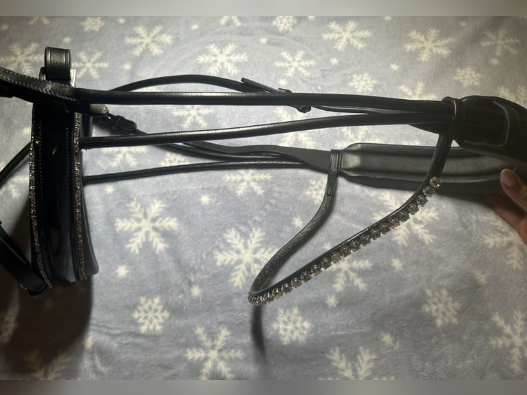 Neuwertige SD-Design Trense mit Ivy Horse Fashion Stirnriemen