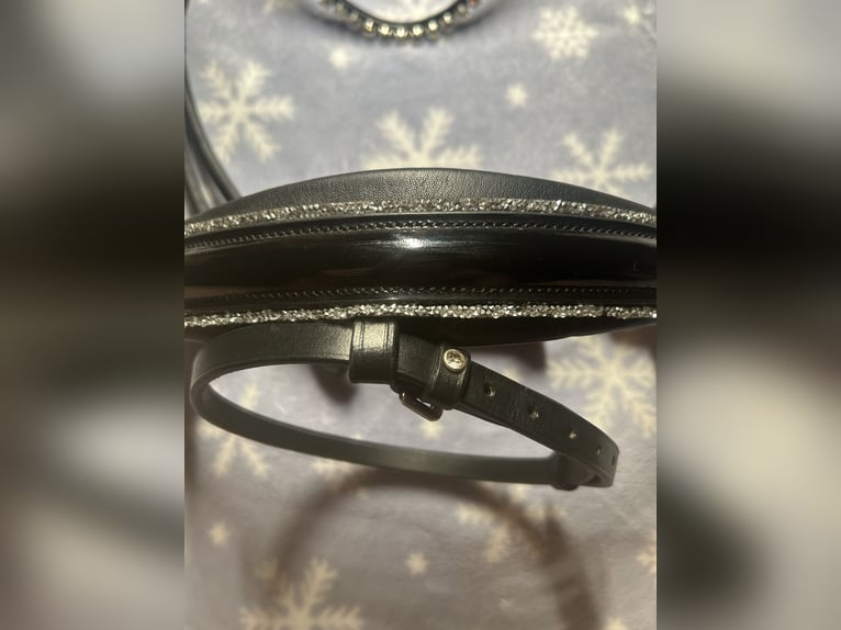 Neuwertige SD-Design Trense mit Ivy Horse Fashion Stirnriemen