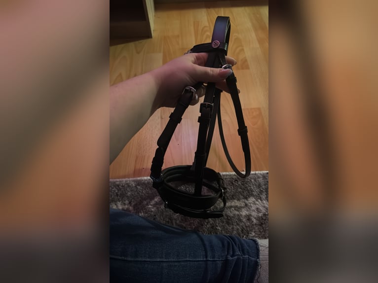 Neue Shetty Trense mit zügeln 