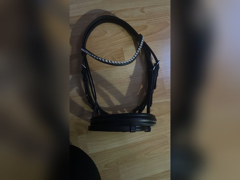 Neue Shetty Trense mit zügeln 