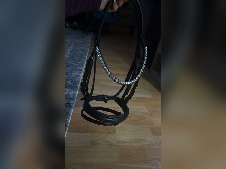 Neue Shetty Trense mit zügeln 