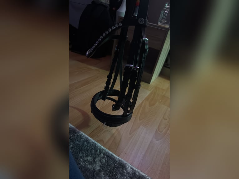 Neue Shetty Trense mit zügeln 