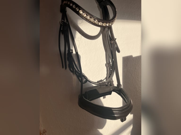 Ponytrense Braun