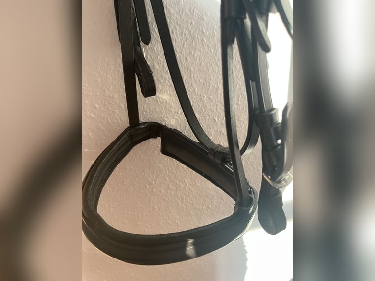 Ponytrense Braun