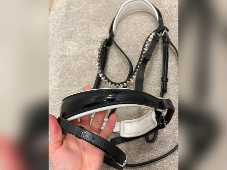 Royal H. Trense, lackiert und weiß unterlegt 