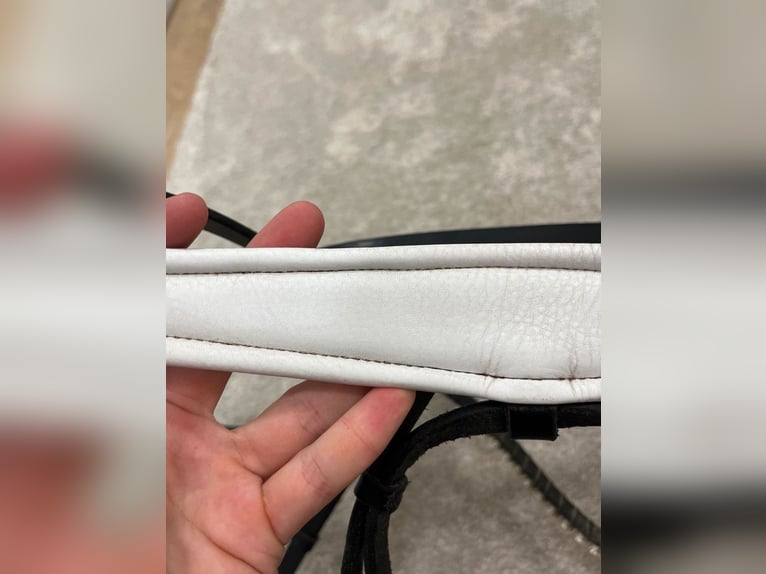 Royal H. Trense, lackiert und weiß unterlegt 