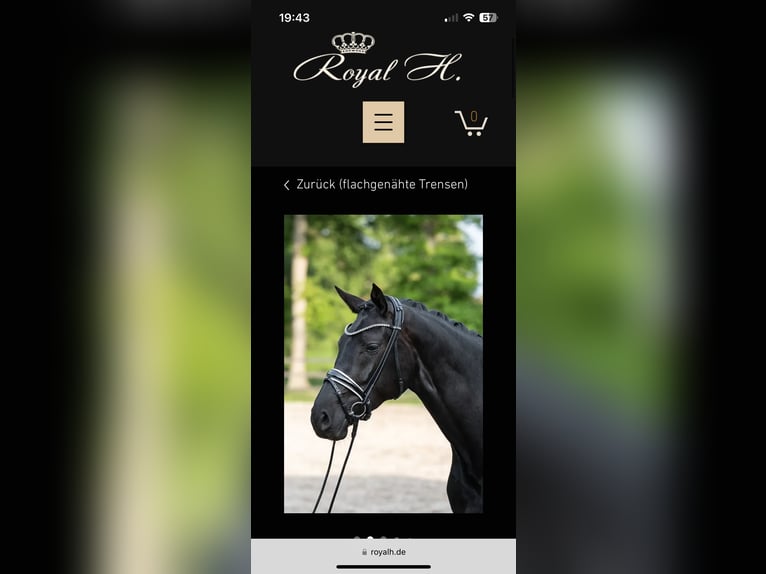 Royal H. Trense, lackiert und weiß unterlegt 