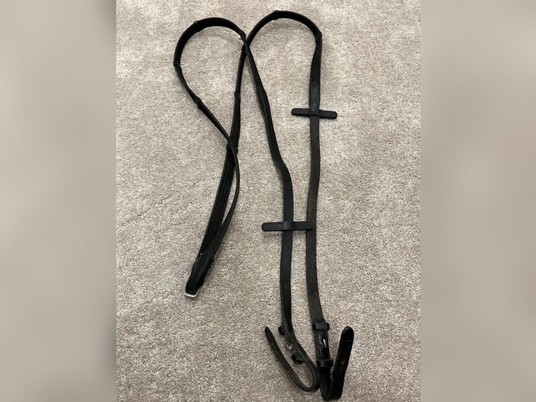 Royal H. Trense, lackiert und weiß unterlegt 