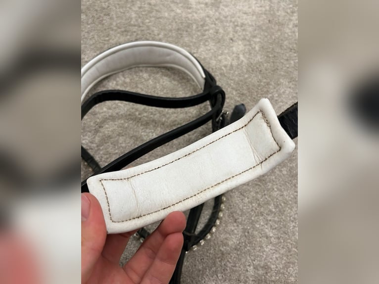 Royal H. Trense, lackiert und weiß unterlegt 