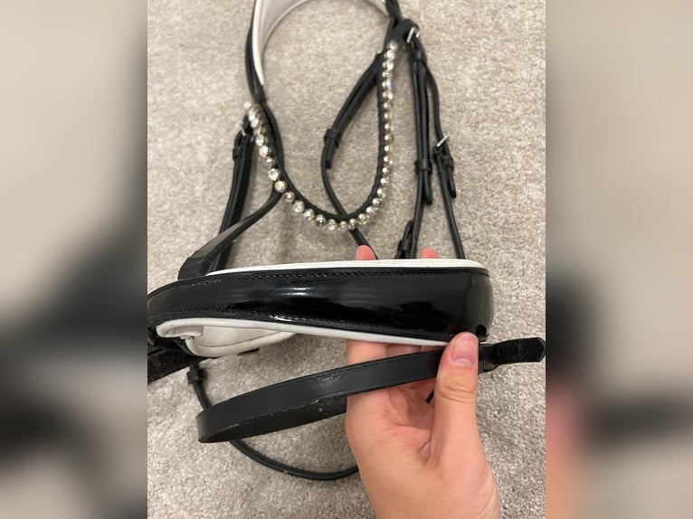 Royal H. Trense, lackiert und weiß unterlegt 