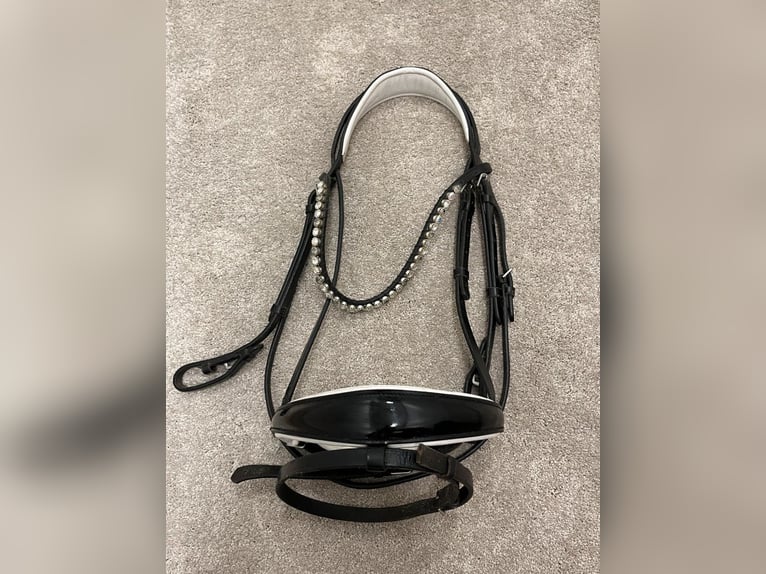 Royal H. Trense, lackiert und weiß unterlegt 