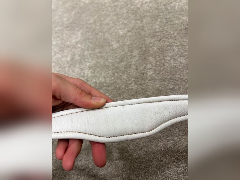 Royal H. Trense, lackiert und weiß unterlegt 