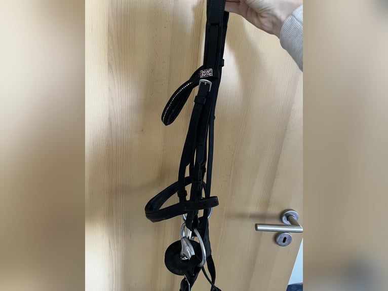 Trense für Pony
