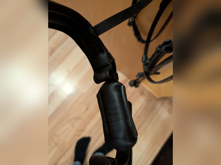 Döbert Zaumzeug Cob mit Lederzügel