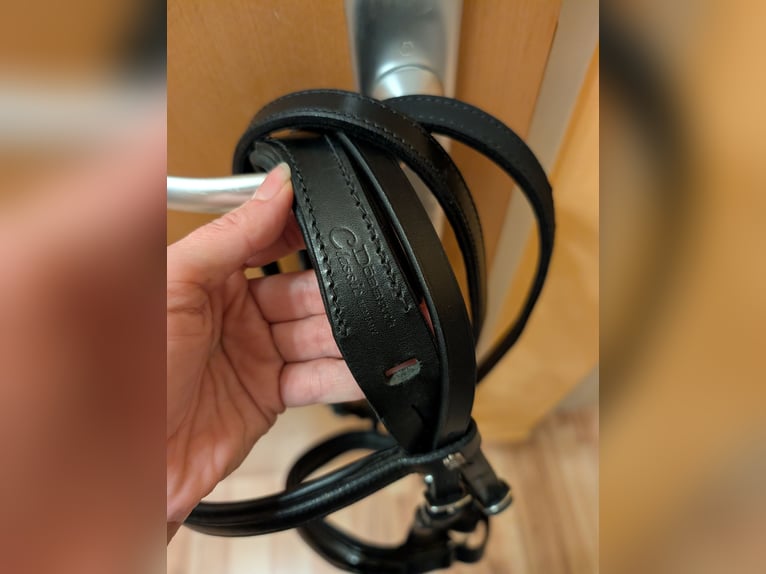 Döbert Zaumzeug Cob mit Lederzügel