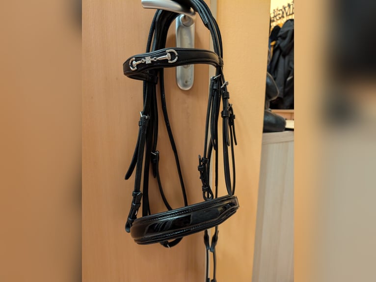 Döbert Zaumzeug Cob mit Lederzügel