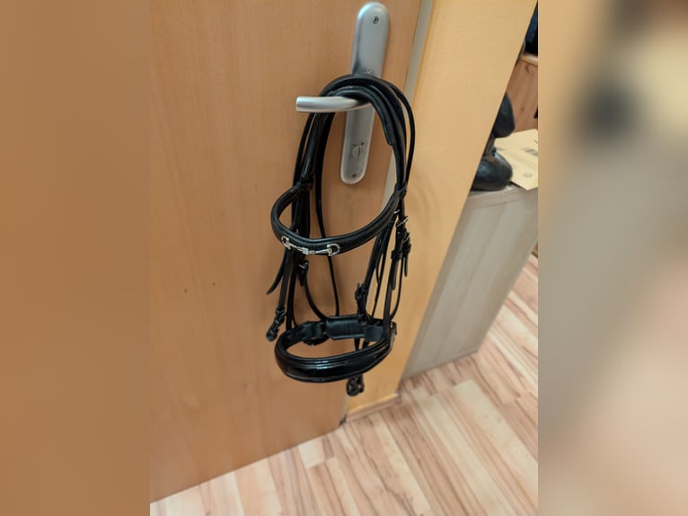 Döbert Zaumzeug Cob mit Lederzügel