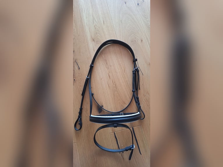 Englisch komb. Reithalfter, schwarz-weis, komplett neu