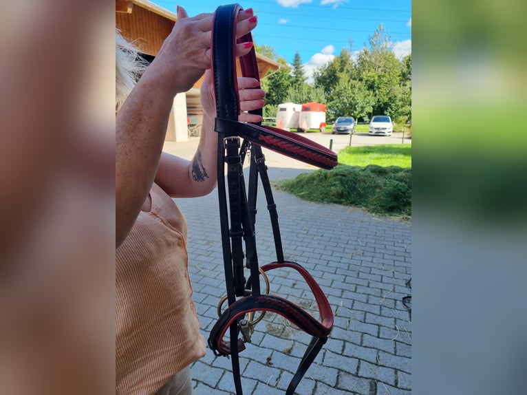 Handgefertigen Zaum zu verkaufen