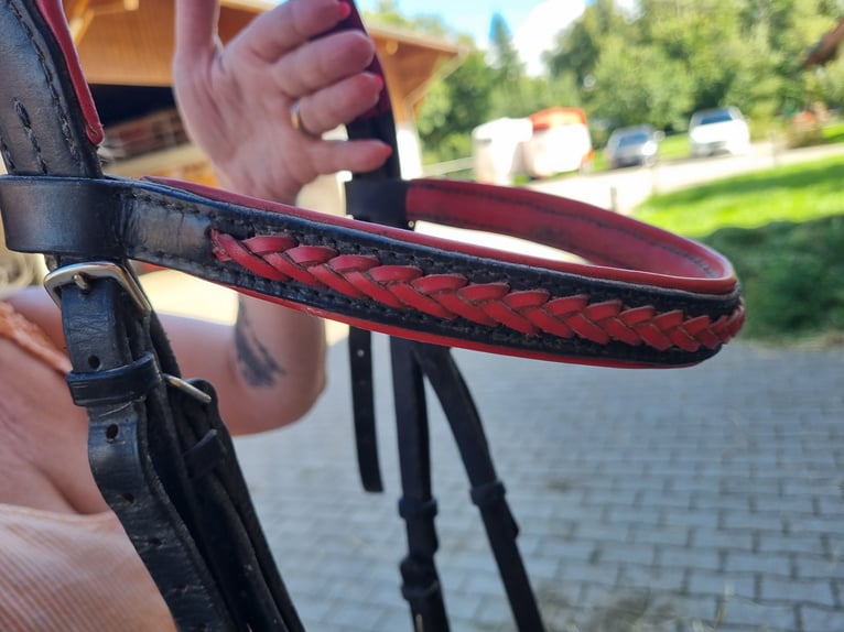 Handgefertigen Zaum zu verkaufen