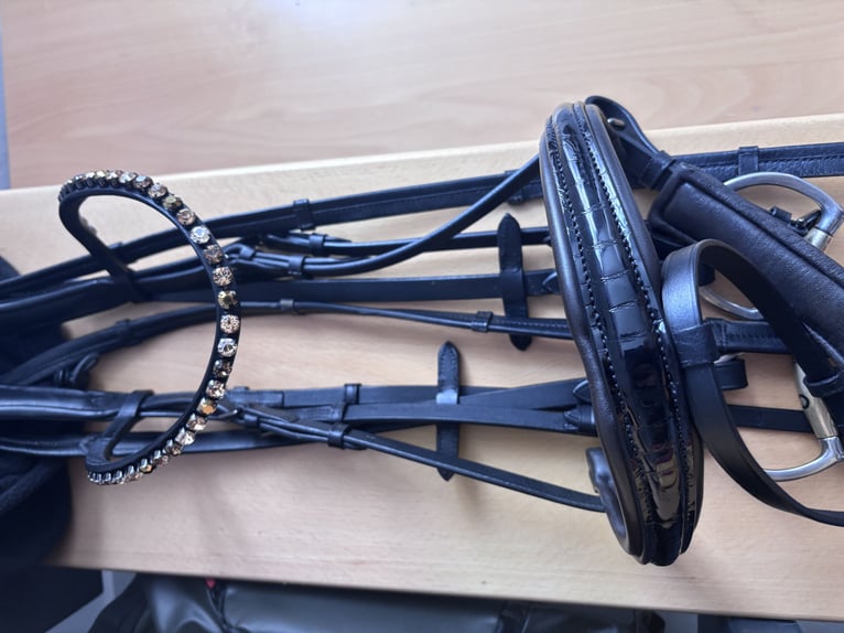 IVY - Ledertrense WB Schwarz Kroko-db. Nasenriemenunterlage NEU