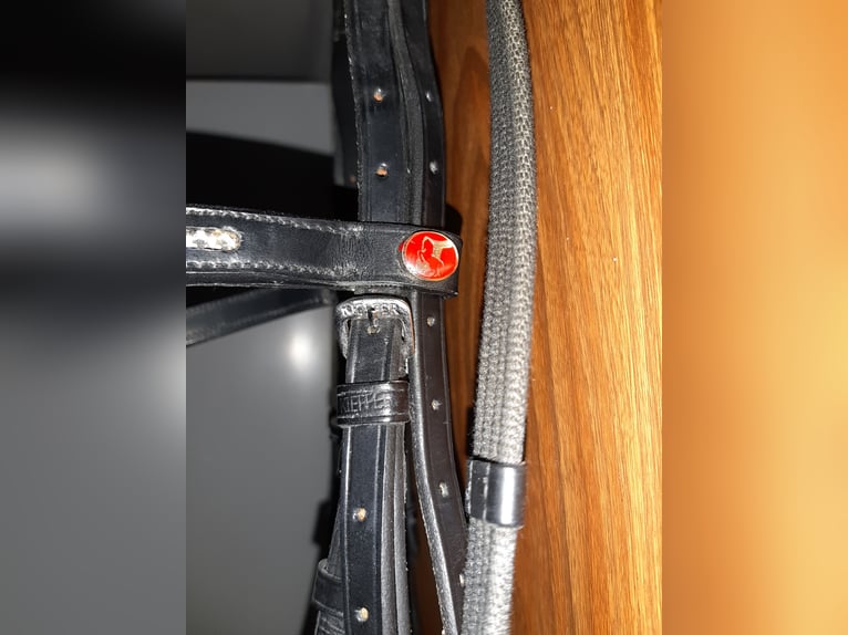 Kieffer Warmblut Zaumzeug neuwertig 