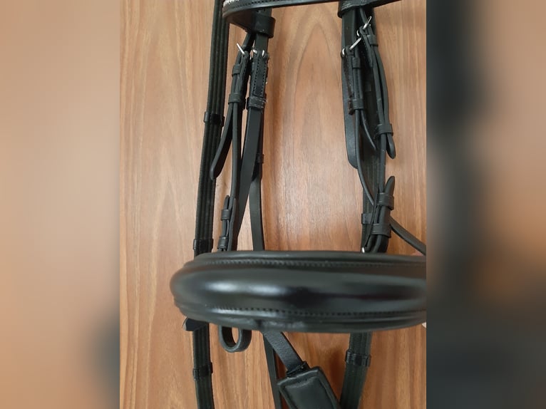 Kieffer Warmblut Zaumzeug neuwertig 