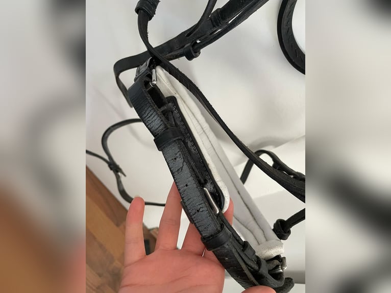 Reithalfter eng. kombiniert inkl. Zügel