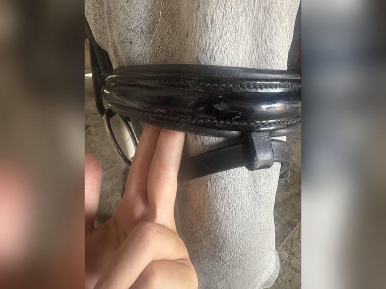 Schwarze Lacktrense in WB 