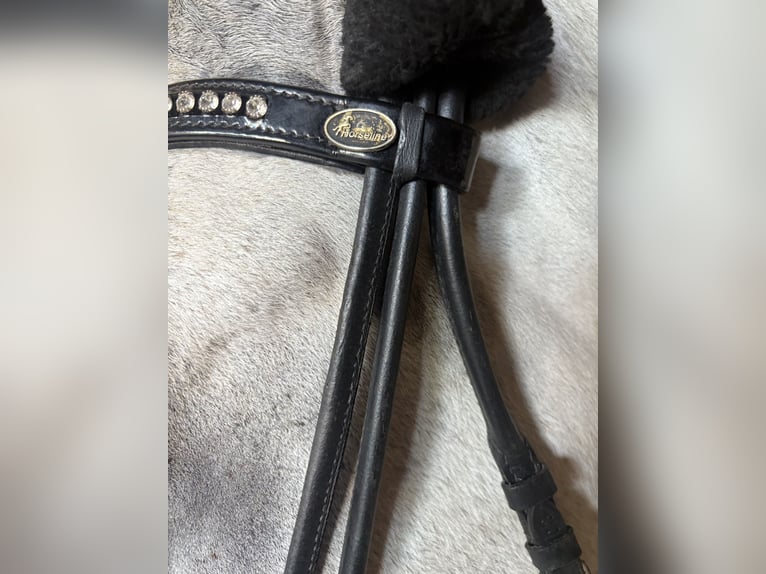 Schwarze Lacktrense in WB 