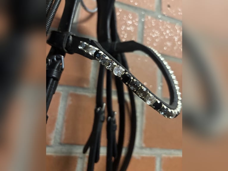 Schwarze Trense mit Strass