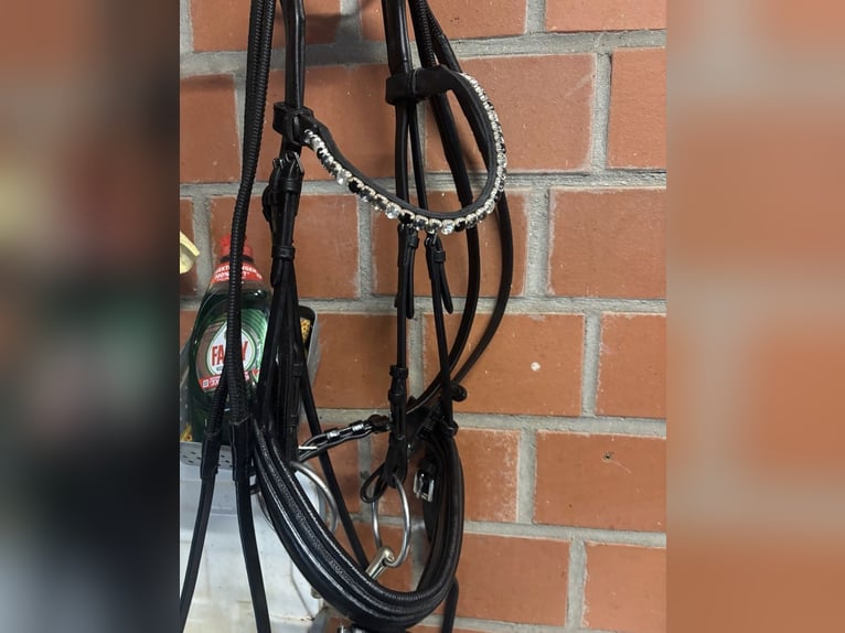 Schwarze Trense mit Strass