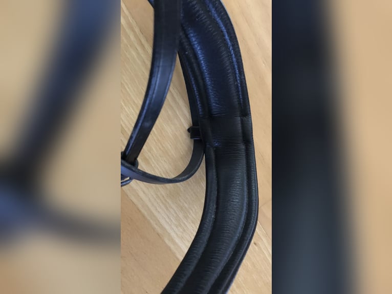 Schwedisches Reithalfter Ps of Sweden XFull Sehr Weich Kaum Benützt!