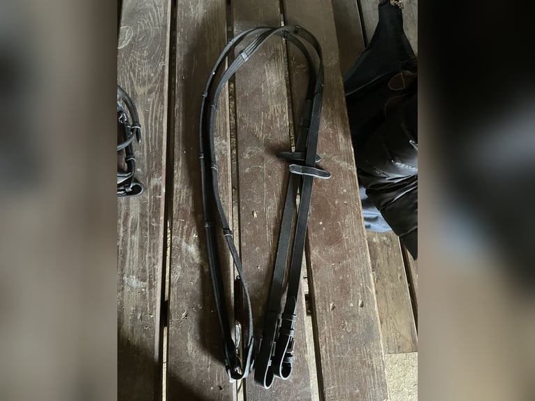 Showmaster COB Trense