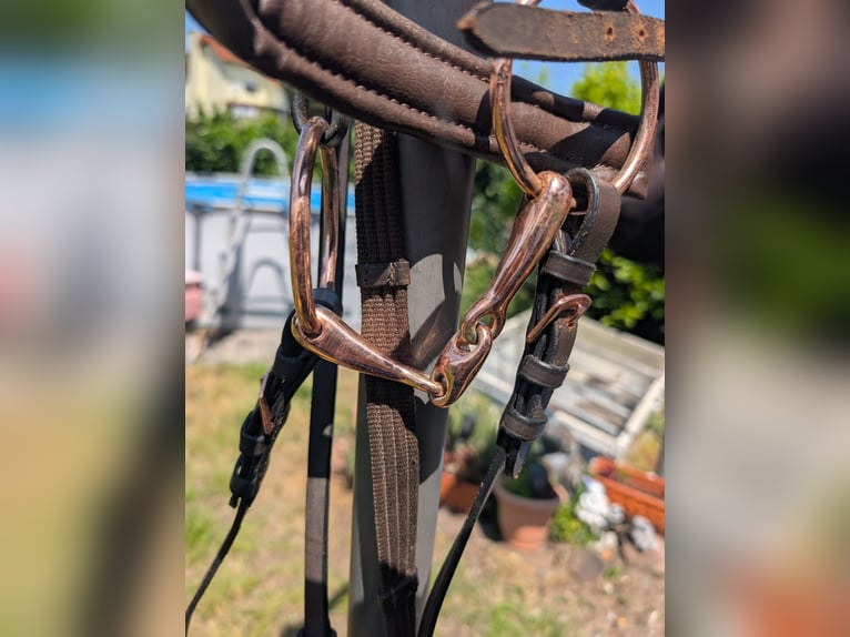 Trense mit Gebiss